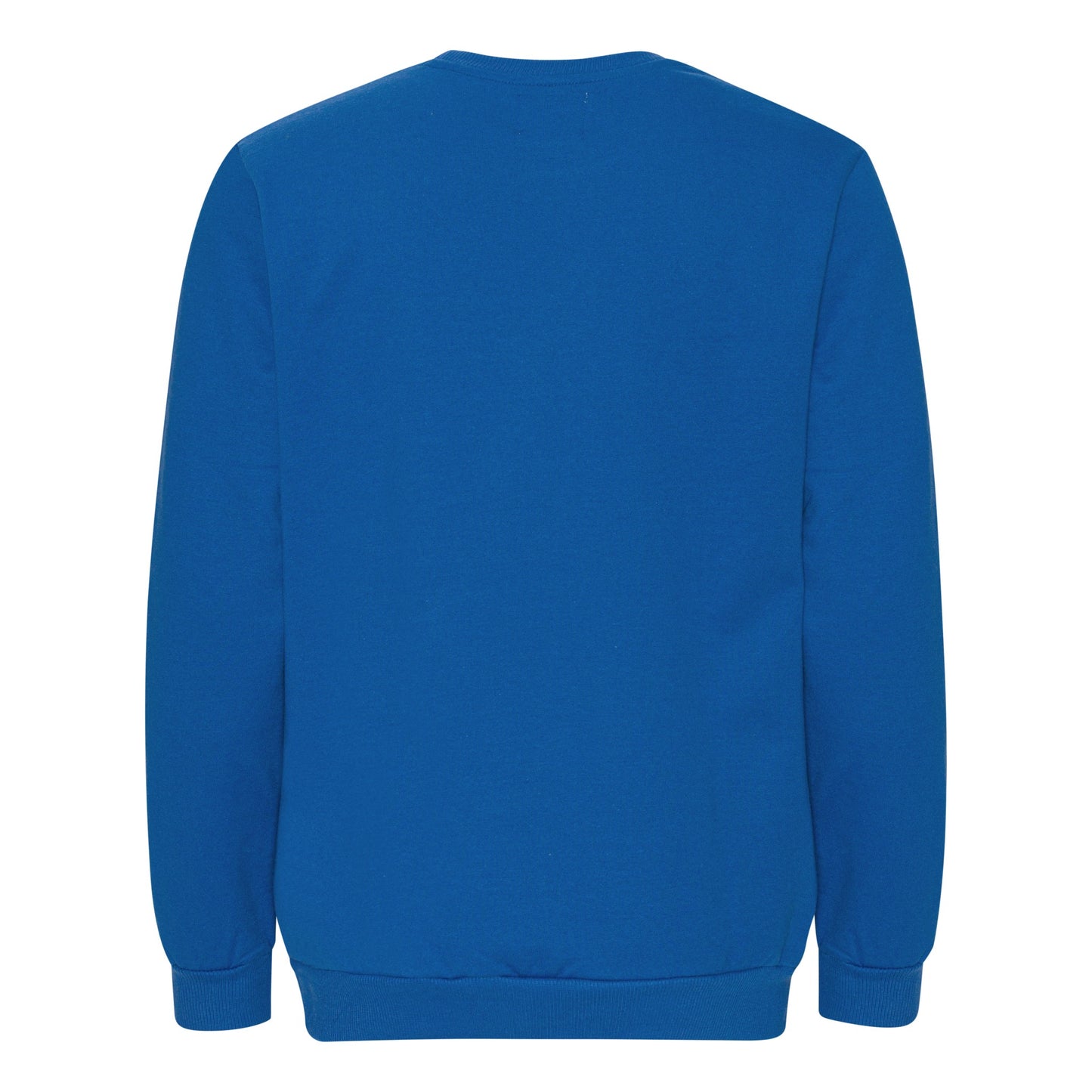 Raccoon-in-the-moon sweatshirt